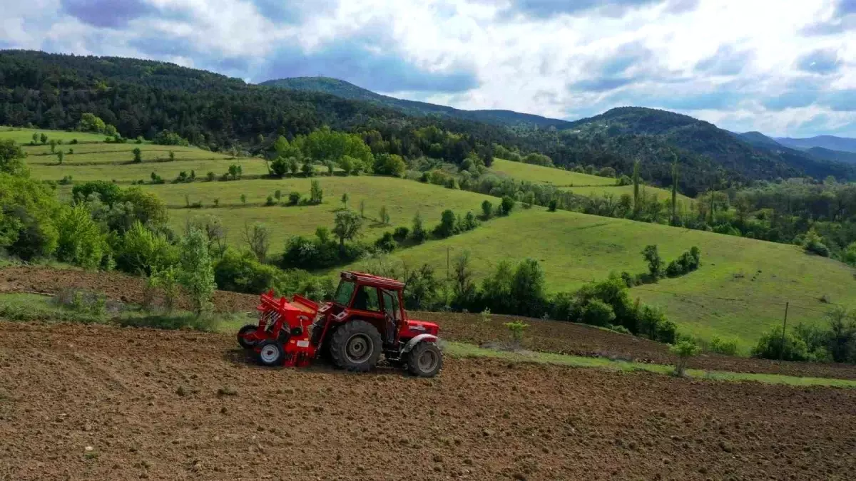 Ordu’da Atıl Araziler Tarıma Kazandırıldı